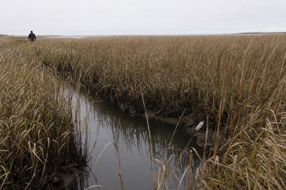 A coastal Georgia waterway with marsh grass and open sky near Tybee Island, no text, no logos, no people