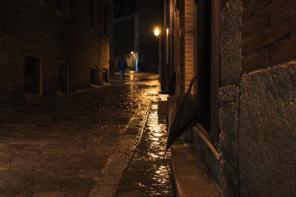 Cobblestone street in Savannah's Historic District at night, no text, no logos, no people