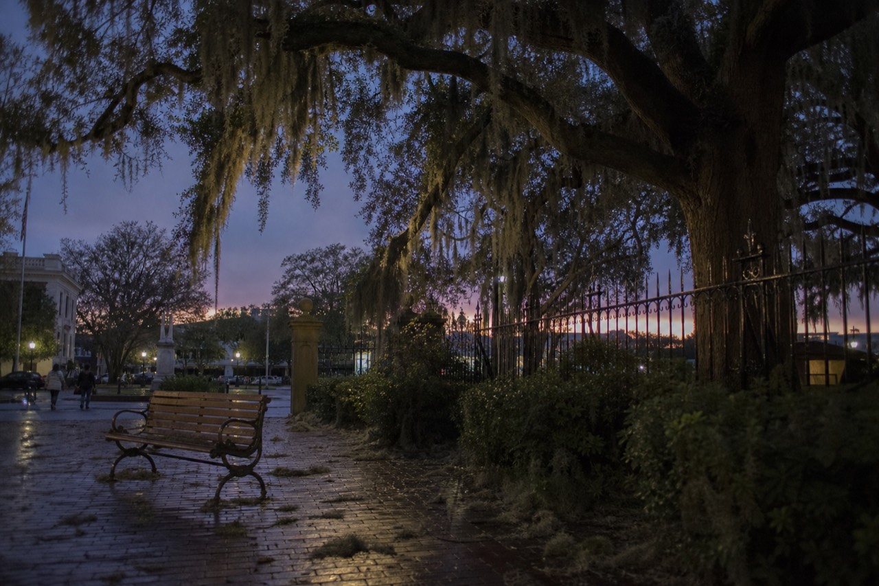 A moss-draped oak tree in a Savannah square at dusk, no text, no logos, no people