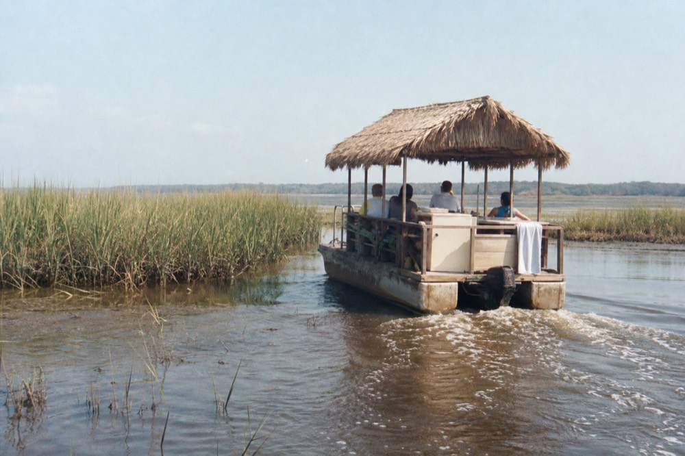 A small tiki-style boat cruising through coastal marsh waters, no text, no logos, no people