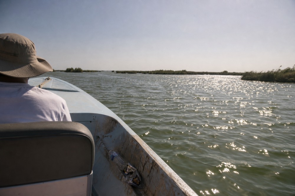 Passengers' view over the bow of a small tour boat heading into Georgia coastal water, no text, no logos, no people