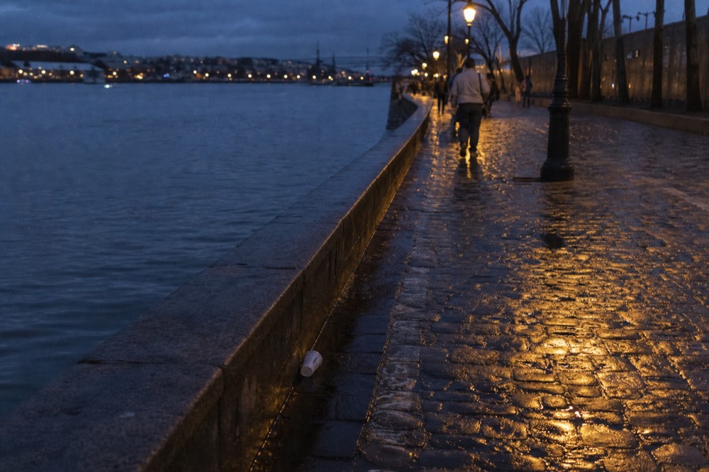 Savannah riverfront at dusk with lamps reflecting on cobblestones, no text, no logos, no people